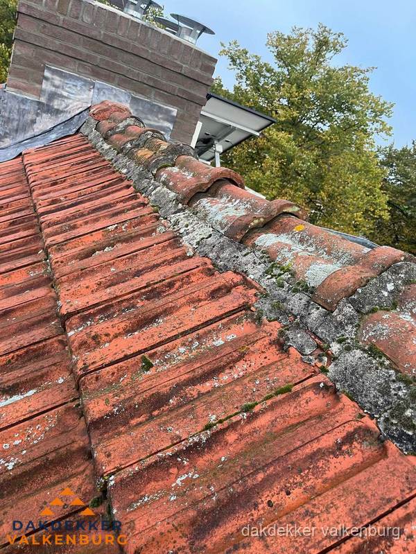 Verweerd hellend dak met mosgroei op nokvorst in Valkenburg Verweerd hellend dak met mosgroei op nokvorst in Valkenburg