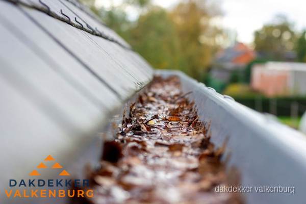 Verstopte dakgoot met bladeren schoonmaken in Valkenburg